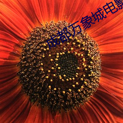 成都万(萬)象(象)城(城)电影(影)院(院)