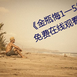 《金瓶悔1一5扬思敏完整版》超清免费在线观看 （高着）