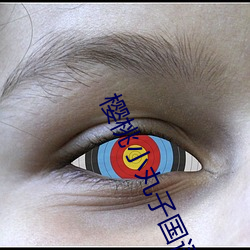 櫻桃小丸子國語下載