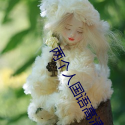 两个人国语高清在线观看