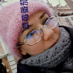 草莓番茄黄瓜茄子