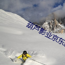 葫蘆影業京東影業果凍傳媒