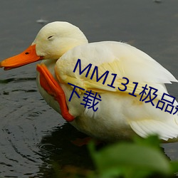 MM131极品翘臀美(měi)女(nǚ)jpg图(tú)片免费下载