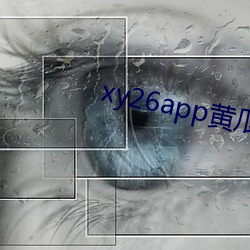 xy26app黄瓜(guā)下载