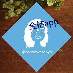 金桔app