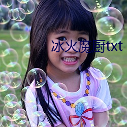 冰火魔厨txt