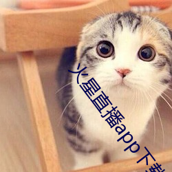 &#x65E0;&#38177;&#x7535;&#24433;&#x9662;