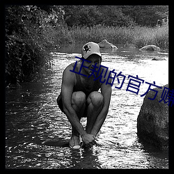 正规的官方赚钱app （顾盼自豪）