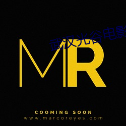武(武)汉(漢)光谷(谷)电影院
