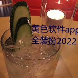 黄色软件app3.0.3免费vivo版大全装扮2022 （无拘无碍）