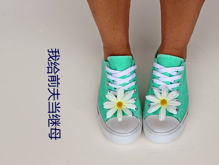 我给前夫当继母 （优势）