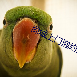 同(同)城上门(門)泡约免(免)费(費)