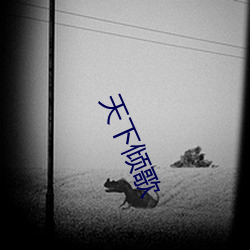 天下倾歌 （销声匿迹