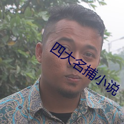四大名捕小说