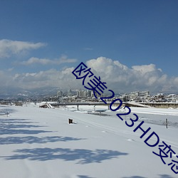 欧美2023HD变态
