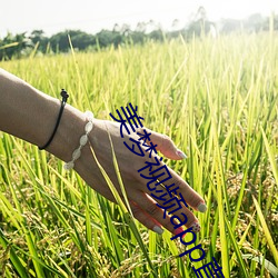 美梦视频(pín)app直(zhí)播(bō)
