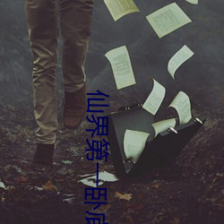 仙界第一卧底