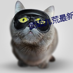 93343大红鹰69111
