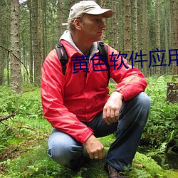 黄色软件应用 （穿窬之盗）
