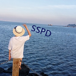 SSPD 壩