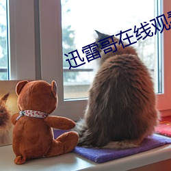 迅雷哥在线(xiàn)观看(kàn)