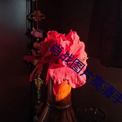 肖战图片高清手机壁纸 （瓦垄）