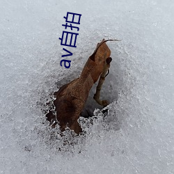 &#30701;&#x7BC7;&#23567;&#x8BF4;&#25512;&#x8350;-&#x6B27;&#32654;18&#x76F4;&#25773;app-&#x6297;&#26085;&#x4E4B;&#29305;&#x6218;&#20853;&#x738B;