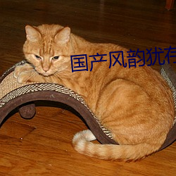 國産風韻猶存豐滿大屁股