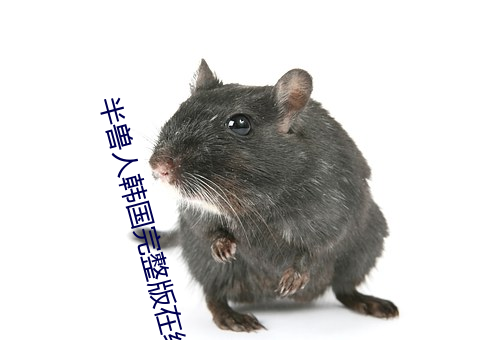 半兽人韩国完整版在线观看