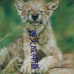 香火成神道(道)