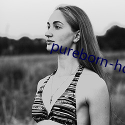 pureborn-hd