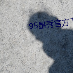 95星秀官方下载 （书展）