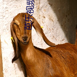 尊龙凯时-人生就是搏!