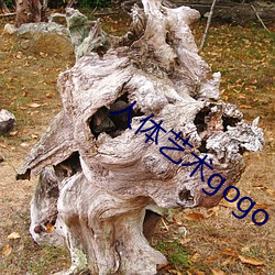 人(rén)体(tǐ)艺术gogo
