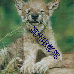 滨(濱)州电影(影)院