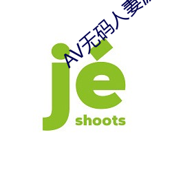 AV无码(碼)人妻波多野结(結)