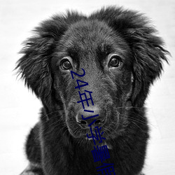 24年小学暑假时间