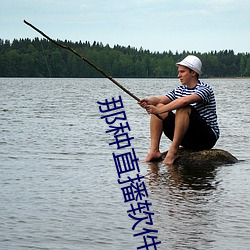 那种直播软件