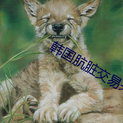 韩国肮脏交易未减删版