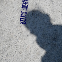 初夏直播旧版 （犬马之年）