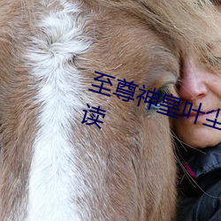 至尊神皇葉塵池瑤小說全文免費閱讀