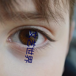 文(wén)艺(yì)世(shì)界