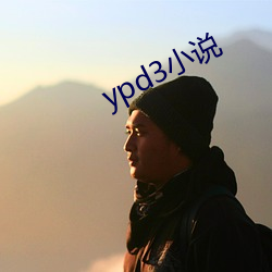 ypd3小說