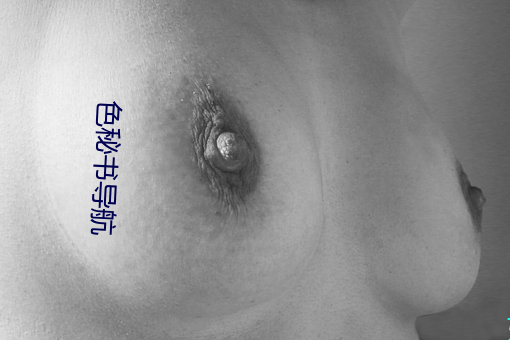 色秘書導航