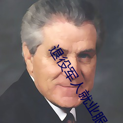 退役(yì)军(jūn)人(rén)就(jiù)业服务(wù)平(píng)台