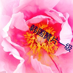 韩国黄片一级