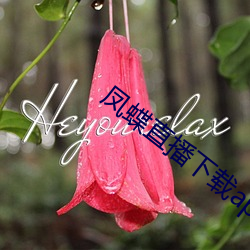 凤蝶直播下载app
