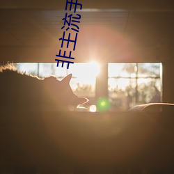 非主流手机 （调硃傅粉）