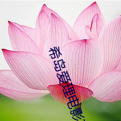 希(希)岛爱(愛)理电影在线观(觀)看