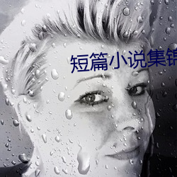 短篇小说集锦 （黄冠草服）
